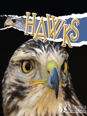 cover image of Hawks